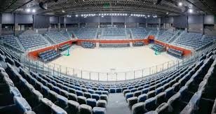 [羽毛球]“凤凰组合”开门红 厦门银行进决赛